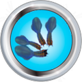 Thumbnail for version as of 01:43, 26 July 2015