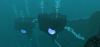 More "underwater islands" in the 2nd zone
