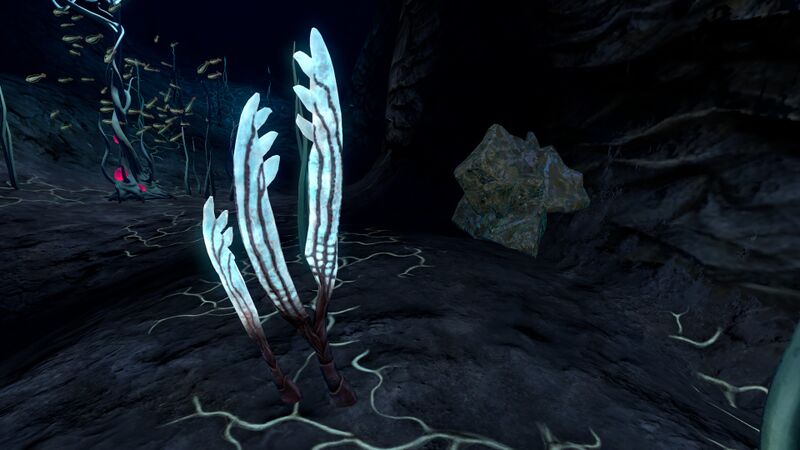 File:Blood Kelp Zone Trench (4).jpg