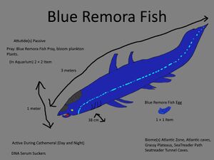 Blue Remora Fish Concept.jpg