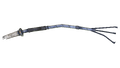 Thumbnail for version as of 22:52, 25 July 2017
