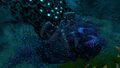 Thumbnail for version as of 19:16, 6 August 2021