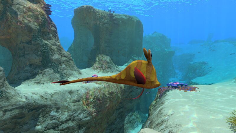 File:Garryfish2.jpg