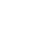 SA Icon White.png