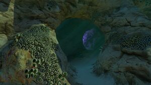 Safe Shallows Caves (1).jpg
