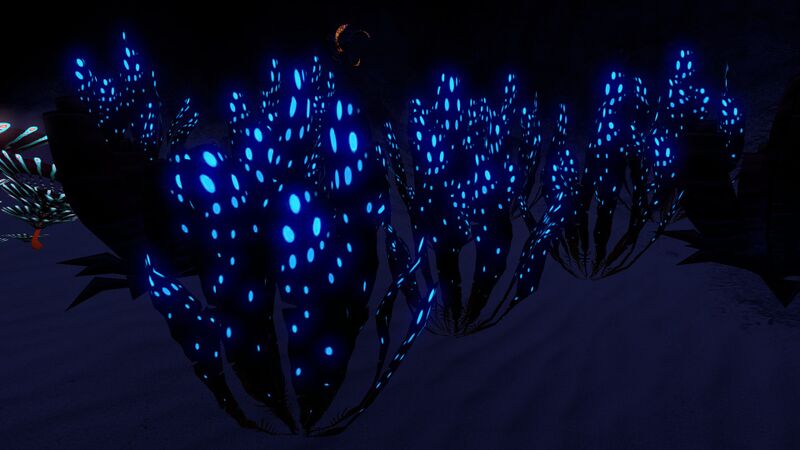 File:SpottedDockleafNight.jpg
