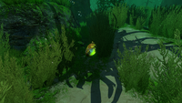 A Stalker Egg amongst Creepvines in the Kelp Forest