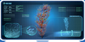 Thumbnail for version as of 17:22, 6 August 2021