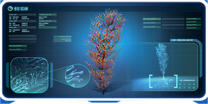 Cave Bush-0 (BZ).png