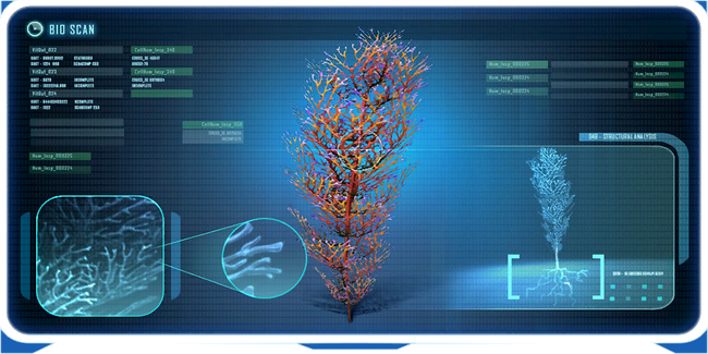 Cave Bush-0 (BZ).png