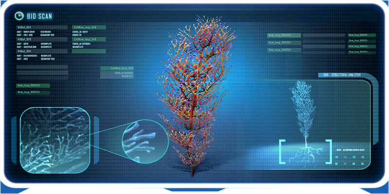 File:Cave Bush-0 (BZ).png
