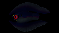 Feather Fish
