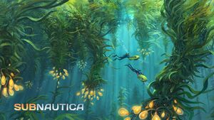 KelpForestSmall-1024x565.jpg
