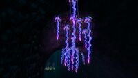 Drooping Stingers on the cave's ceiling