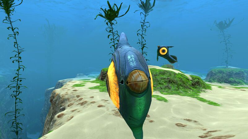 File:Peeper (8).jpg