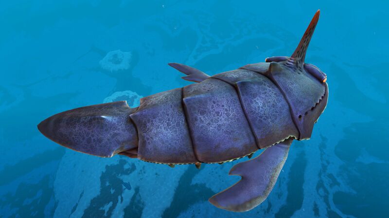 File:Sand Shark (3).jpg