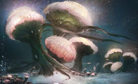 Cotton Anenome initial design - by Dima Pertsula