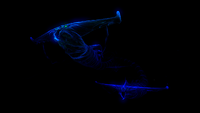 Void GL.png