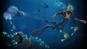 Wiki-background