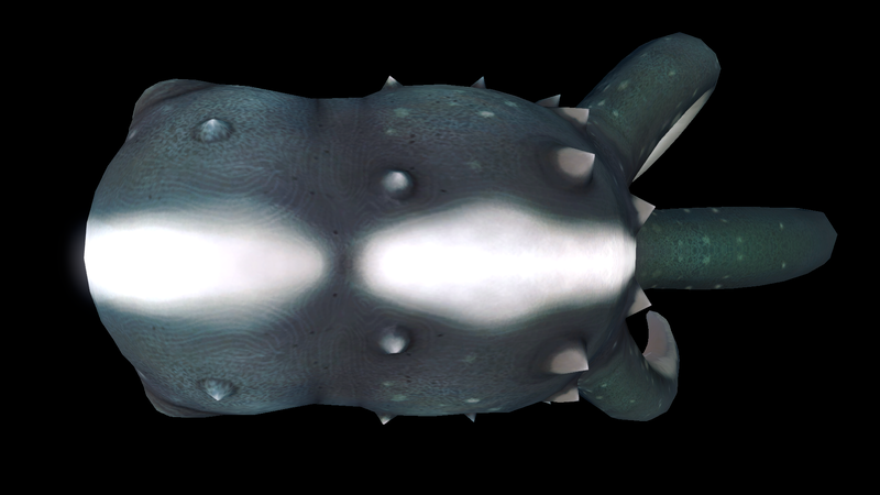 File:Cute Fish Dorsal View.png