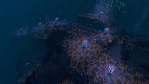 Membrain Tree Cluster.png