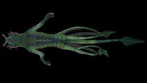 Sea Dragon (Black)-1.jpg