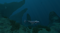 Techno - Boneshark