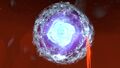 Warper's Evidence