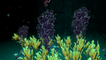 Thumbnail for version as of 20:52, 17 August 2017