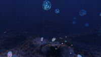 Another view in the Grand Reef