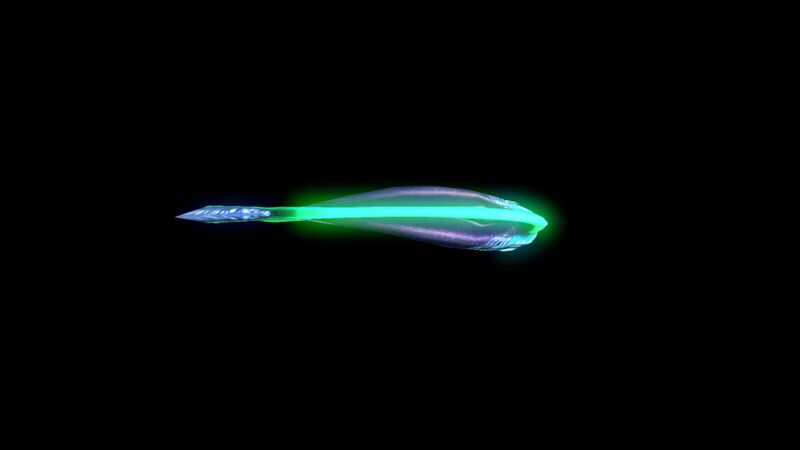 File:Hoopfish7.jpg