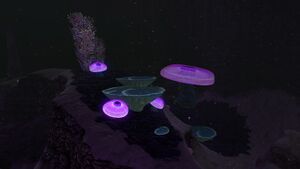 JellyShroom03.jpg