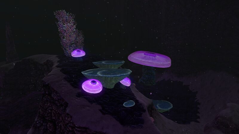 File:JellyShroom03.jpg