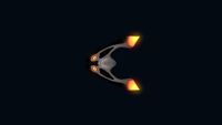 Bioluminescence