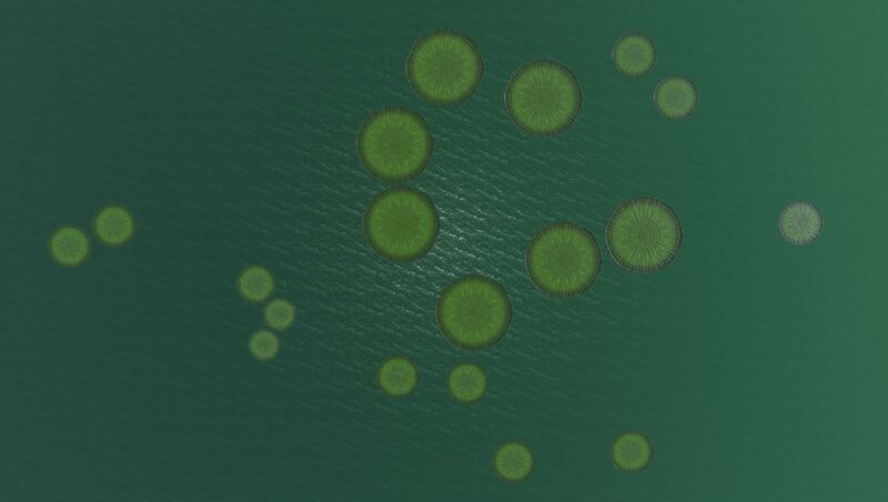 File:Lilypad Skyview.jpg