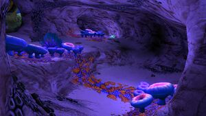 Safe Shallows Caves3.jpg