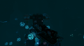 Deep Grand reef secrets...