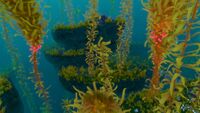 An Arctic Kelp Forest bordering the Sparse Arctic