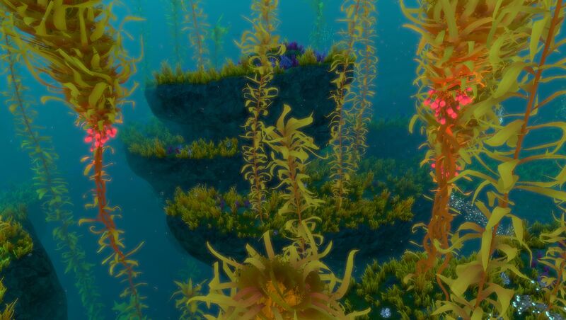 File:ArcticKelpForest 6.jpg