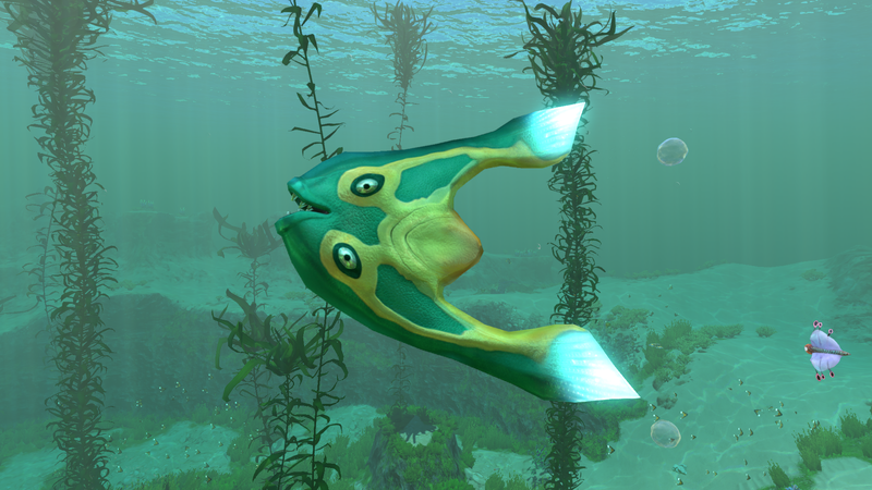 File:Boomerang Kelp Forest.png