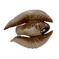 Thumbnail for version as of 17:43, 6 August 2021
