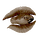 Cooked Feather Fish Icon.png