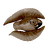 Cooked Feather Fish Icon.png