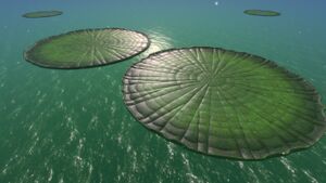 Lilypad leaves.jpg