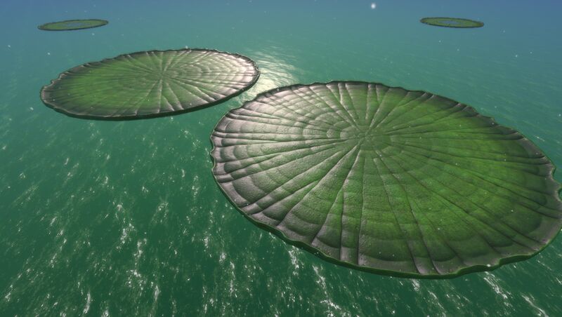 File:Lilypad leaves.jpg