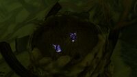 A Sea Monkey Nest which can be found within the cave.