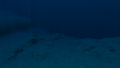 Thumbnail for version as of 13:59, 29 May 2017