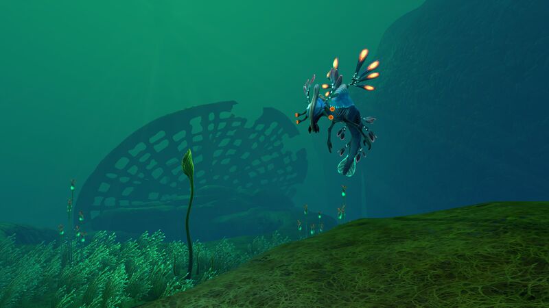 File:LilyPaddlerLI.jpg