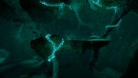 Overview of the chamber where the Cuddlefish egg resides