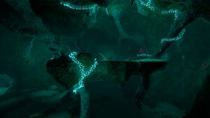Mushroom Forest Caves Central.jpg